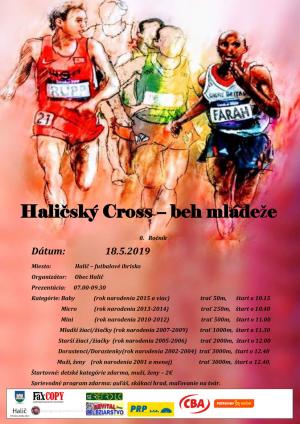 Plagát s rozpisom kategórií
