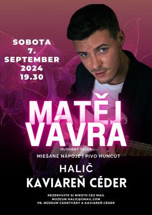 Koncert Mateja Vávru