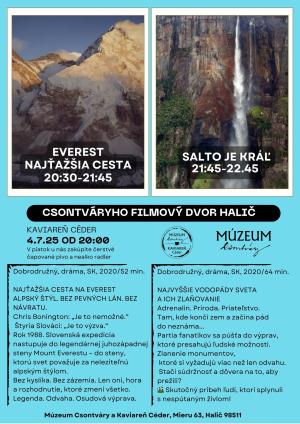 Filmový večer